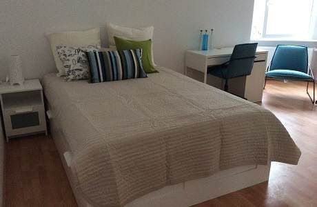 Renovated and fully furnished studio apartment                                       